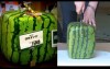 日本方形西瓜賣天價，切開來一看瞬間疑惑「這真的好吃嗎」