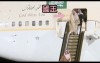 尊貴阿拉伯國王下飛機必須搭乘純金手扶梯「沒想到半路故障」網友笑：這電梯維修員可能完蛋了