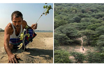 印度男子16歲在貧瘠的荒地上種樹，花費40年種出「550公頃的森林」背後原因感動所有人