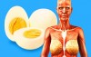 9個「只要每天吃兩顆雞蛋」就會產生的身體變化，第6個對女生來說超重要