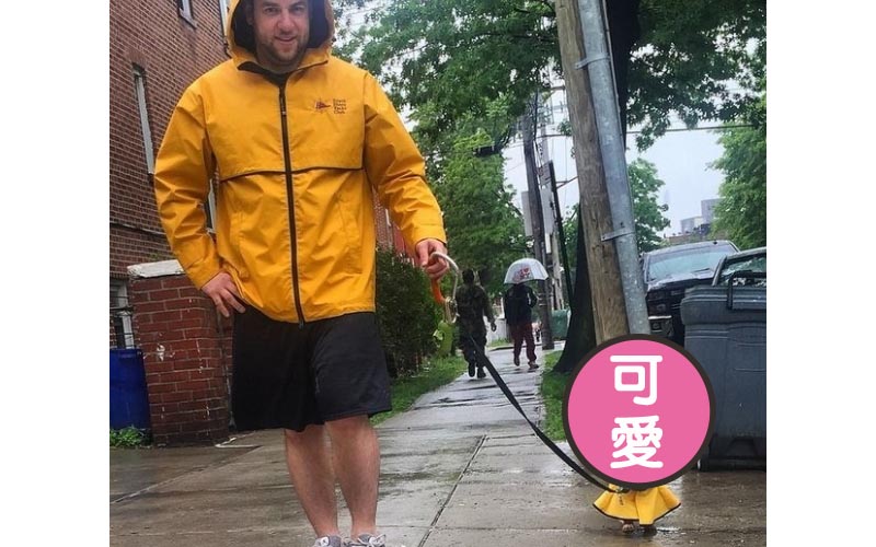 下雨天的街頭臘腸跟主人穿了同款雨衣，可他的臉卻充滿無奈及不屑！