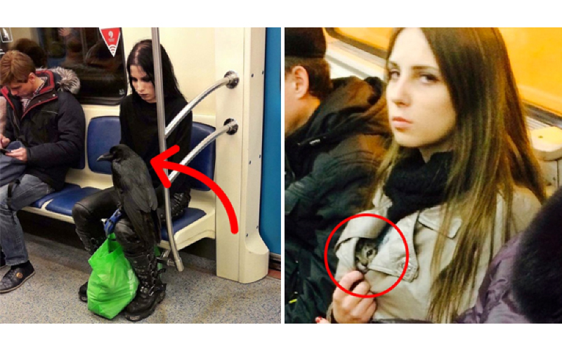 20位那些年乘客們在「地鐵上目睹過最獵奇」的怪人！