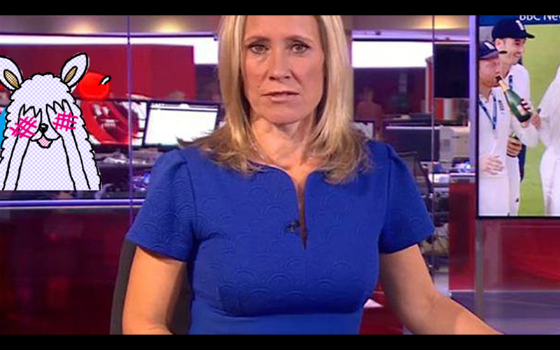 狂！BBC女主播報新聞卻被眼尖觀眾發現後方有「色色動態物」一看．．．男人們全噴鼻血！（圖+影）