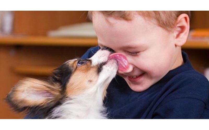 你知道狗狗為何喜歡舔人嗎？舔哪裡都有不同的涵義喔！