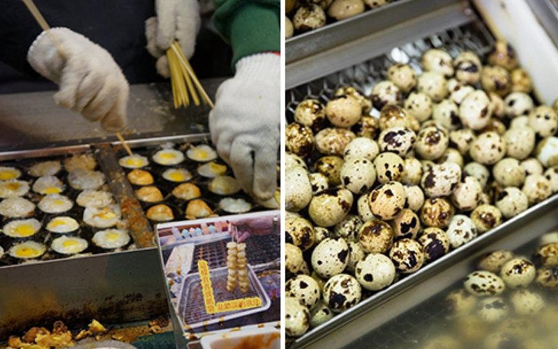 夜市經典小吃「鳥蛋」從哪裡來？台灣人年吃5億顆，專家透露大量生產原來一切都跟「飼料有關」！