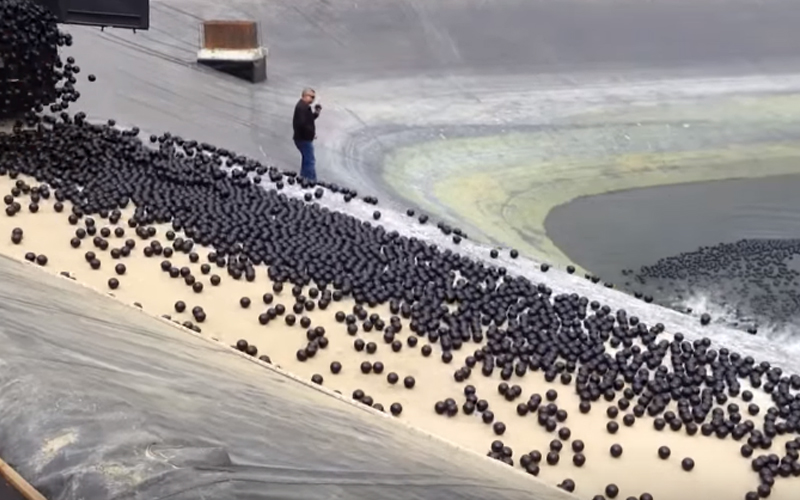 加州政府決定將「9600萬顆黑球」丟進水中，原來這樣做就能解決嚴重的缺水問題！