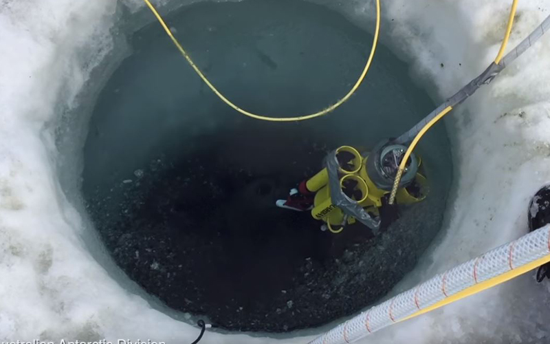 科學家揭開「南極圈神秘海底世界」的真面目！探測器深入拍攝「冰層下罕見畫面」美到屏息！