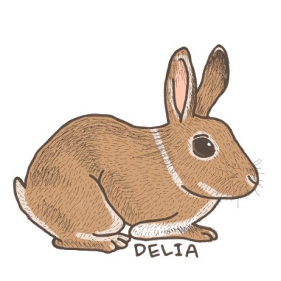 【絢太你好】【 太 ♥ 給兔兔的兔子。