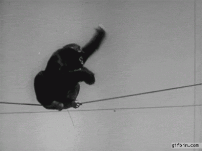黑猩猩在電線上喝醉了。