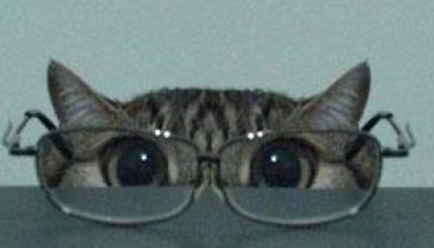 貓與眼鏡。
