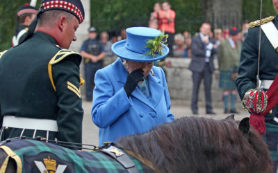 皇家軍團迷你馬「在女王面前盡情拉屎」  女王被薰到「放棄王室禮儀」臭到逃離現場