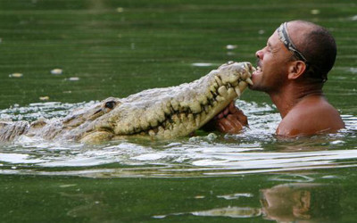 他順手救了「奄奄一息大鱷魚」帶回家照顧  放生隔天「牠竟又出現在家門口」20年後際遇感動全球