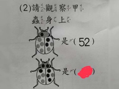 幼稚園數學題目超難！「甲蟲花色算數」考倒一票人 正解讓鄉民傻眼