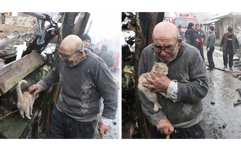 「你沒事就好了！」83歲老爺爺房子被燒掉　在火場找到貓咪立馬淚崩緊抱...超催淚