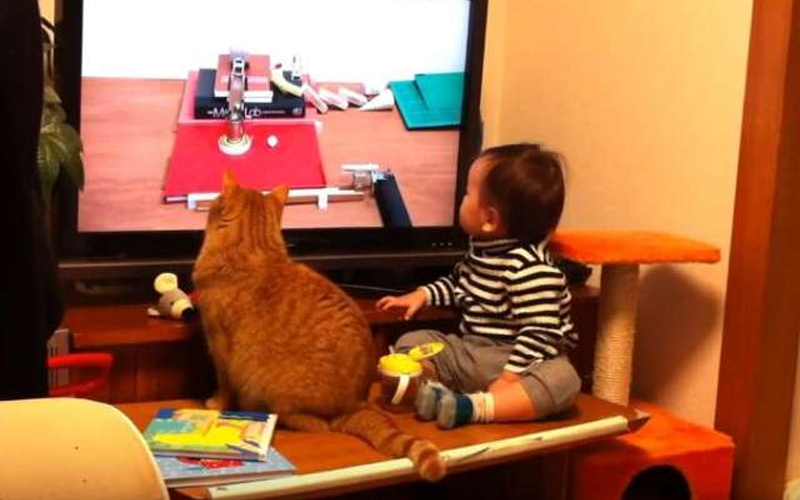 寶寶和小貓直勾勾的盯著電視節目，下一秒他們的神同步表情 ...萌萌噠！